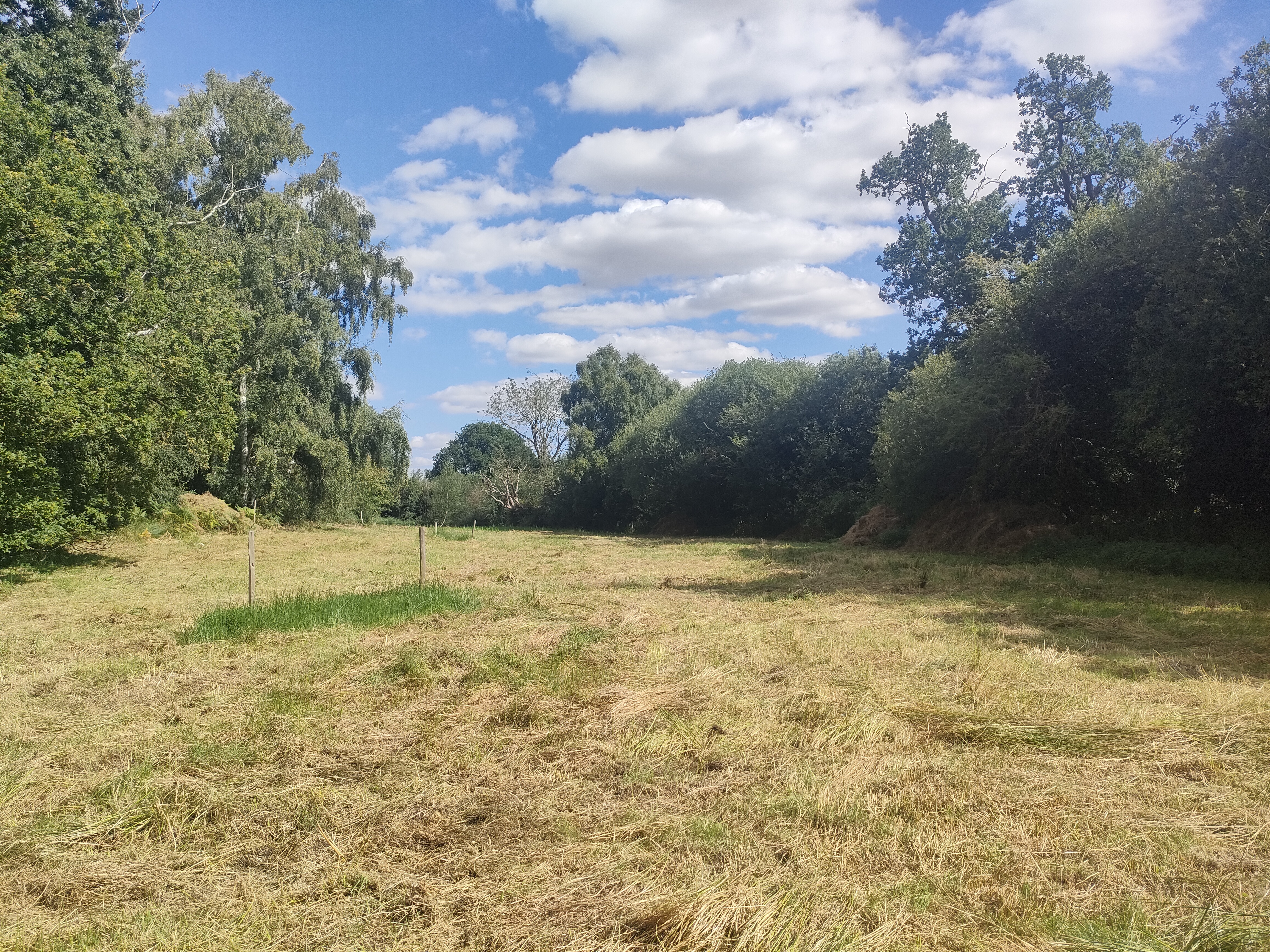 The same meadow with barely any dry hay left.