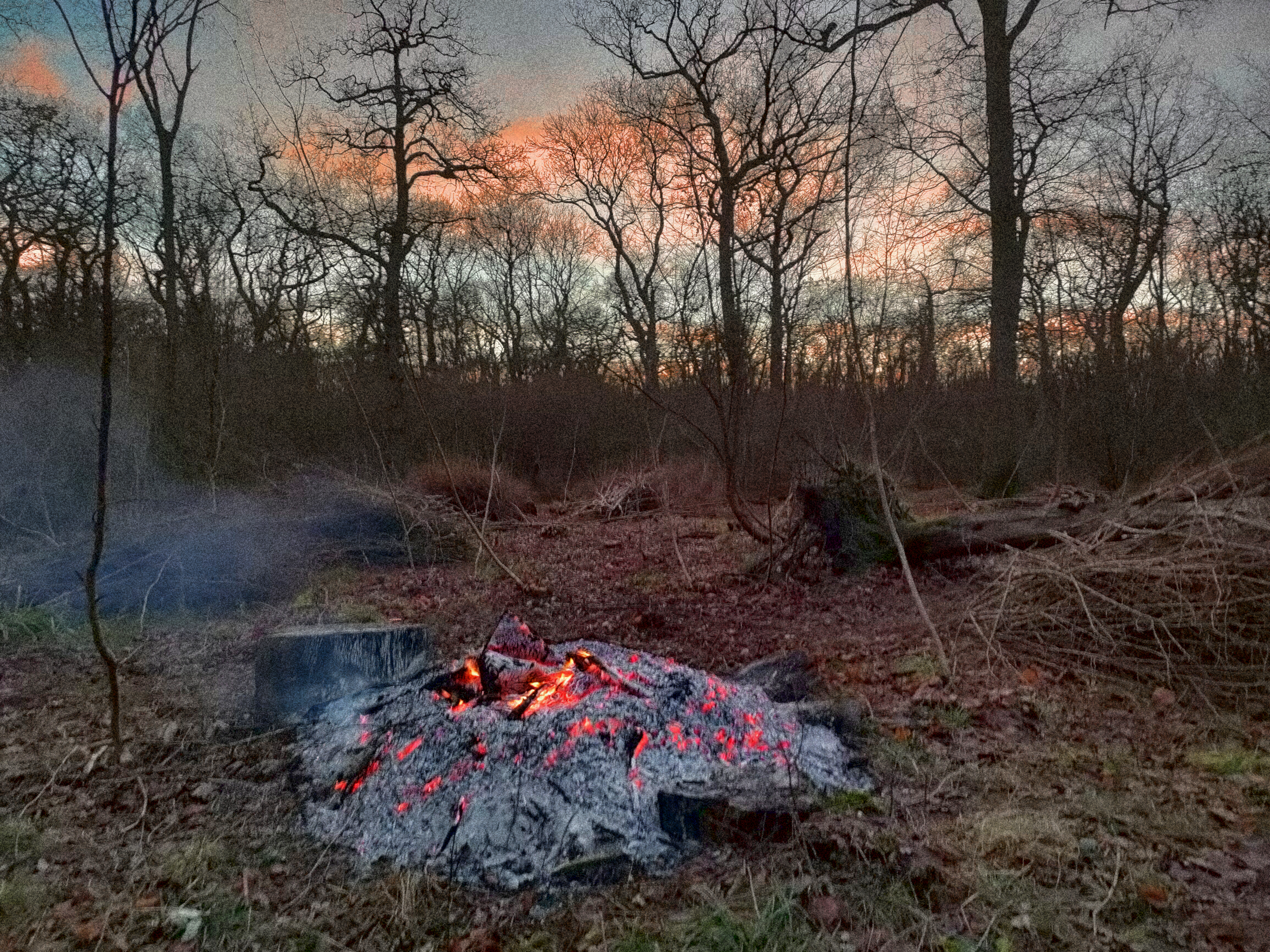 glowing embers of a fire in a clearing in a woodland with the sunset behind the trees