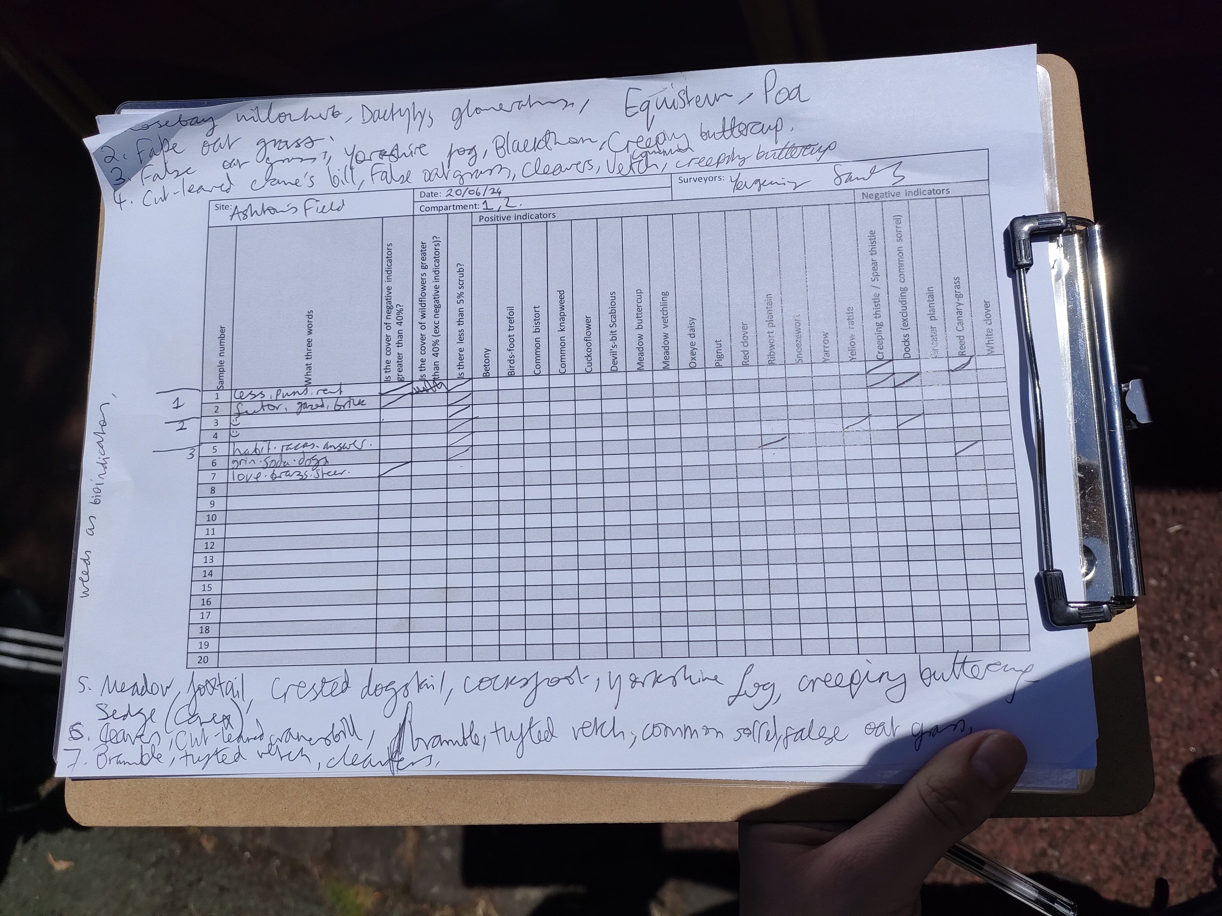 clipboard with a grassland plant species presence table on it