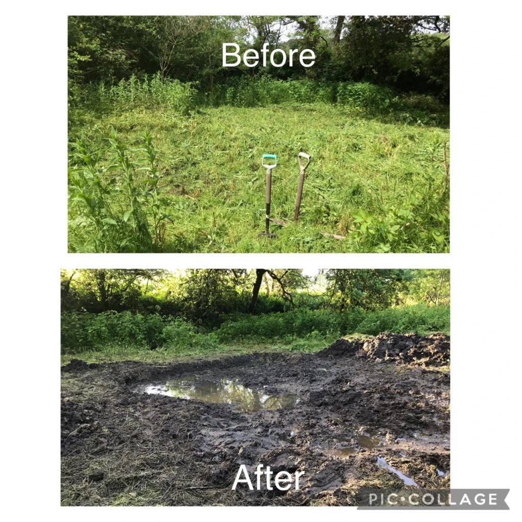 before and after photo of an area of cut grass surrounded by trees, and then a pool of water in dug soil.