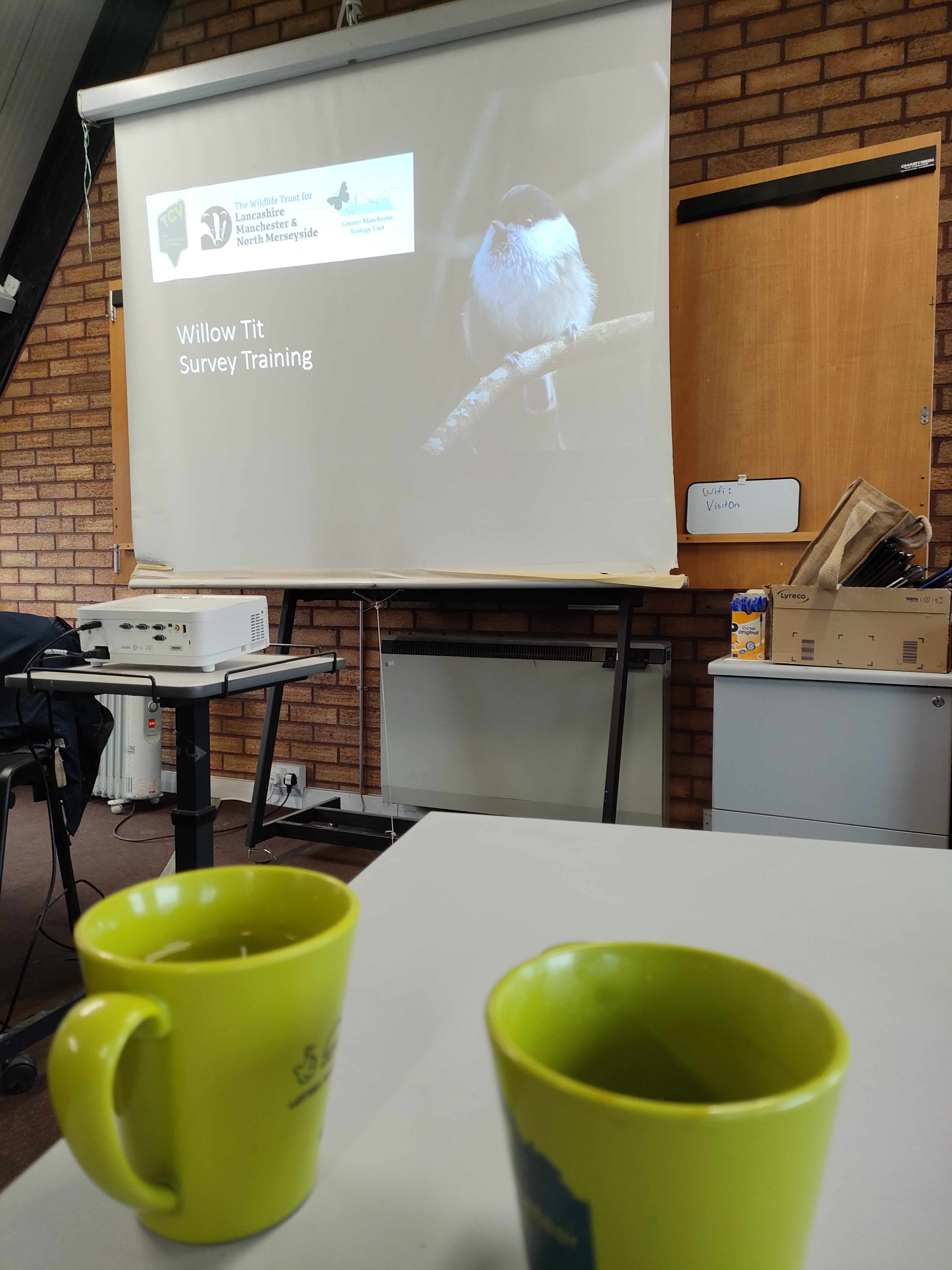 Presentation slide with title 'Willow Tit Survey Trainining' and a photo of willow tit in a brick classroom; two mugs are in foreground. 